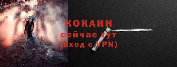 СК Аркадак