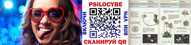 Галлюциногенные грибы мицелий  Усть-Лабинск 
